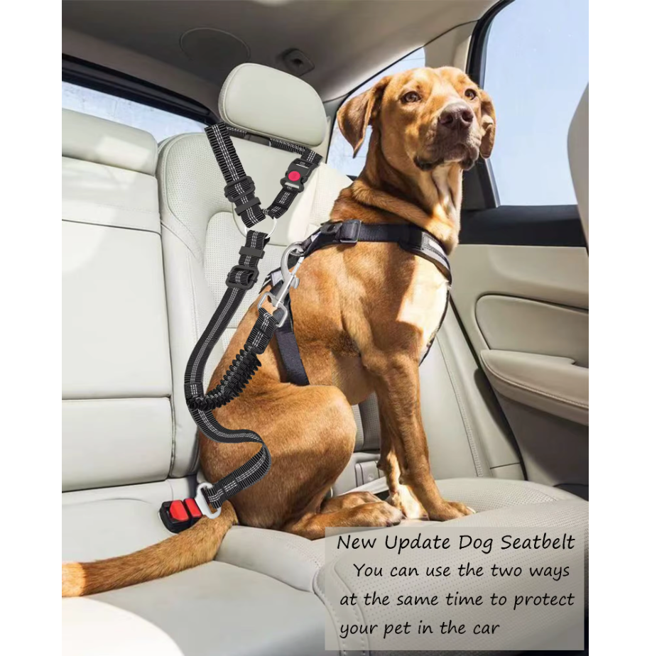 Cinturón de seguridad para perros