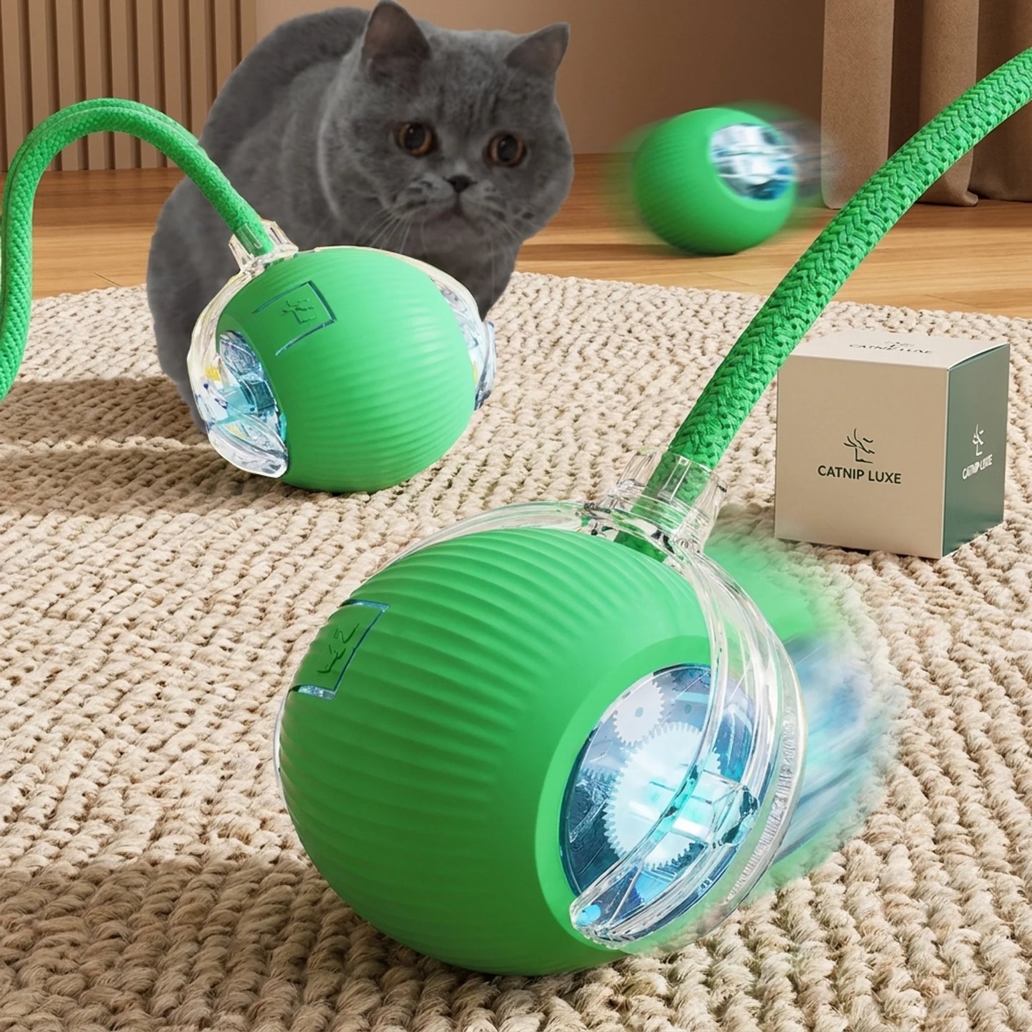 interactivo para gatos