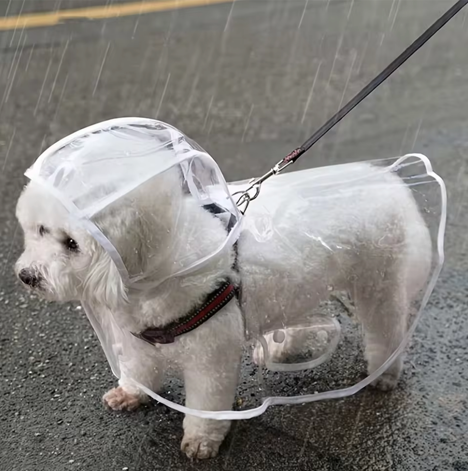Chubasquero impermeable transparente para perros