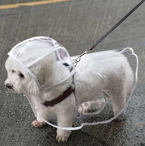 Chubasquero impermeable transparente para perros